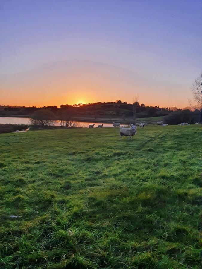 Claragh Cottage Cavan Exteriör bild