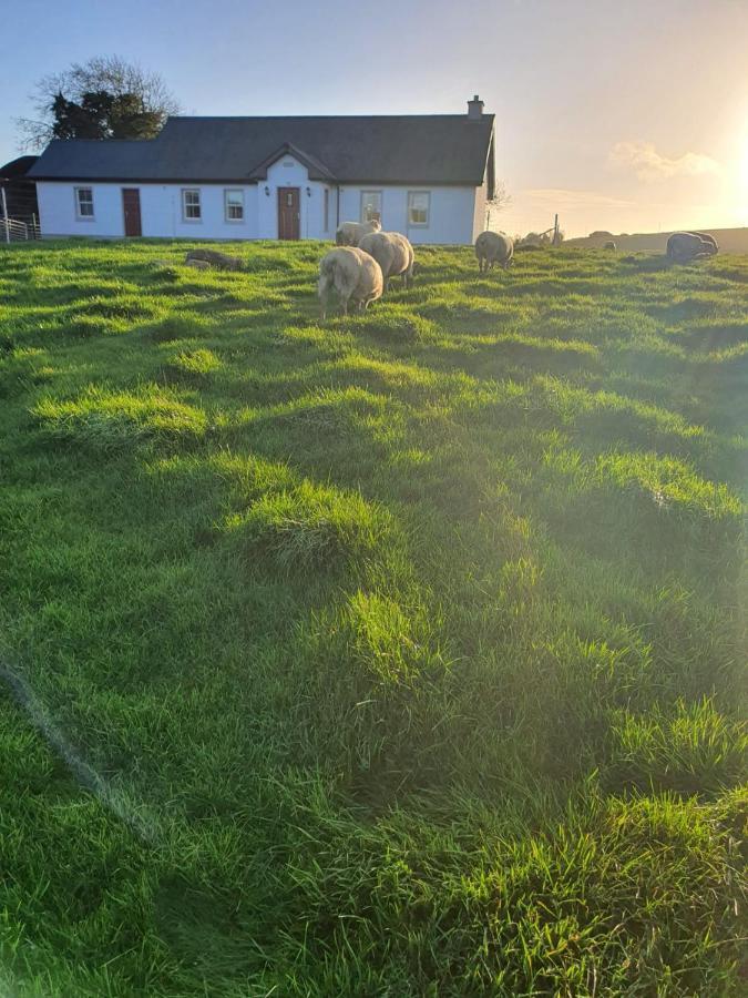 Claragh Cottage Cavan Exteriör bild